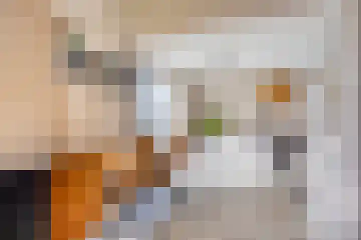 Burgemeester Nijsinghweg 11 Ruinerwold thumbnail 11