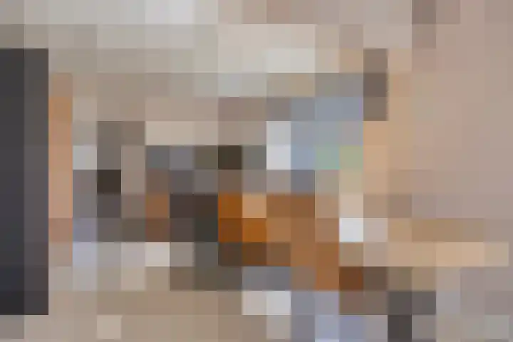 Burgemeester Nijsinghweg 11 Ruinerwold thumbnail 12