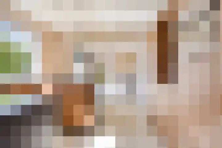 Burgemeester Nijsinghweg 11 Ruinerwold thumbnail 18