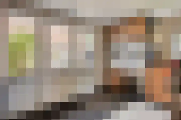 Burgemeester Nijsinghweg 11 Ruinerwold thumbnail 20