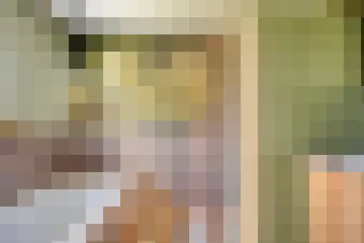 Burgemeester Nijsinghweg 11 Ruinerwold thumbnail 22