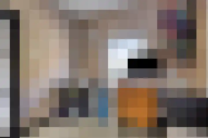 Burgemeester Nijsinghweg 11 Ruinerwold thumbnail 24