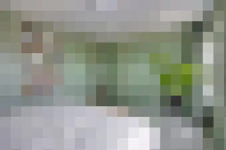 Burgemeester Nijsinghweg 11 Ruinerwold thumbnail 26