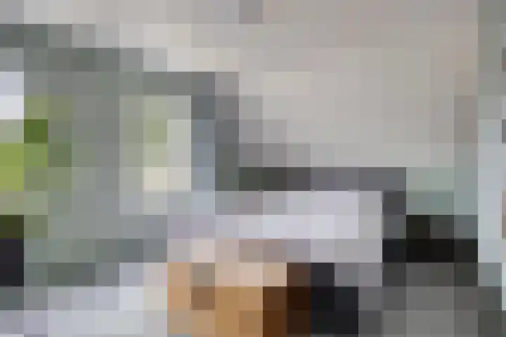 Burgemeester Nijsinghweg 11 Ruinerwold thumbnail 27