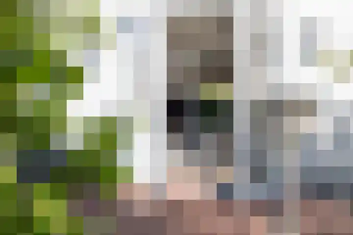 Burgemeester Nijsinghweg 11 Ruinerwold thumbnail 31