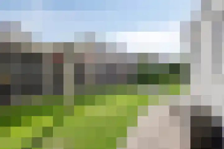 Burgemeester Nijsinghweg 11 Ruinerwold thumbnail 32