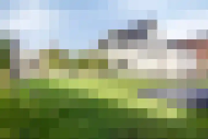 Burgemeester Nijsinghweg 11 Ruinerwold thumbnail 33