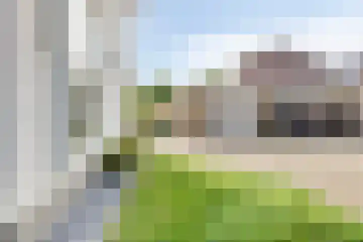 Burgemeester Nijsinghweg 11 Ruinerwold thumbnail 35