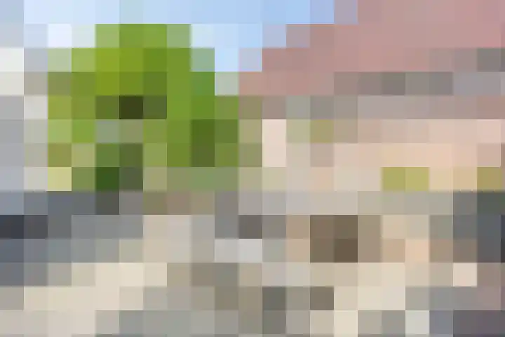 Burgemeester Nijsinghweg 11 Ruinerwold thumbnail 37