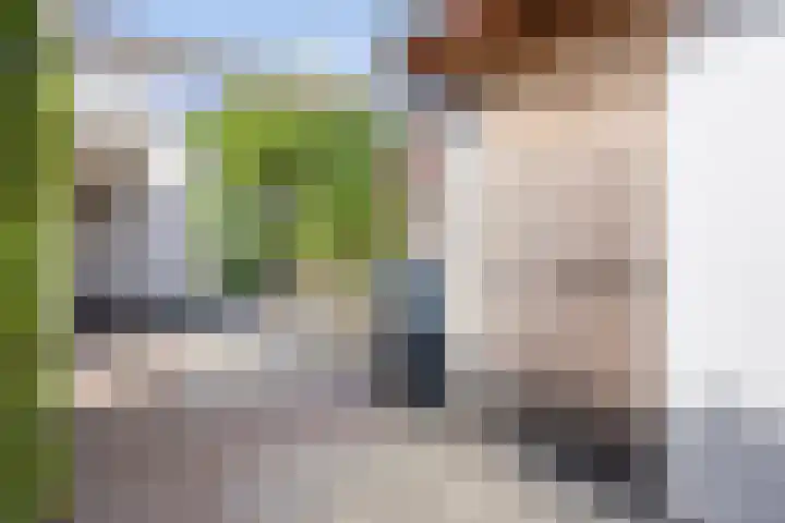 Burgemeester Nijsinghweg 11 Ruinerwold thumbnail 38