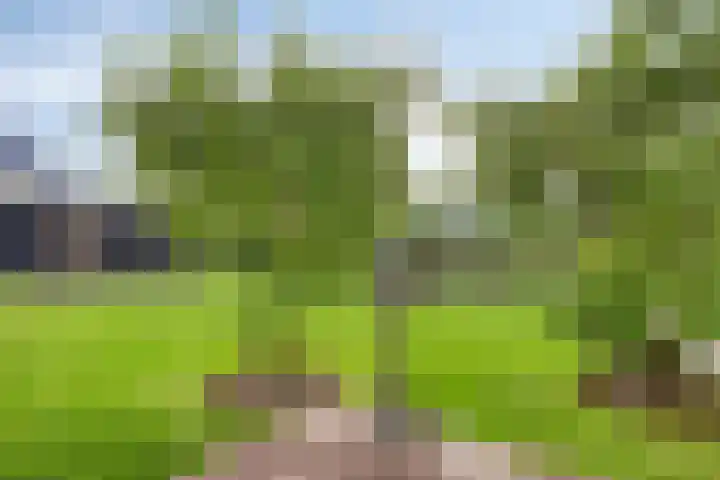 Burgemeester Nijsinghweg 11 Ruinerwold thumbnail 5