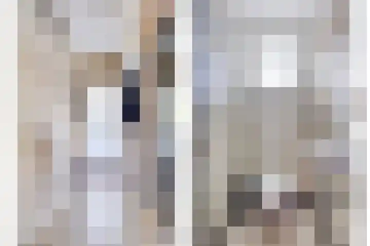 Burgemeester Nijsinghweg 11 Ruinerwold thumbnail 6