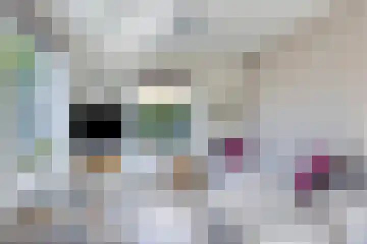 Burgemeester Nijsinghweg 11 Ruinerwold thumbnail 7