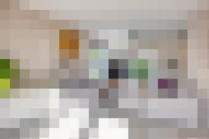 Burgemeester Nijsinghweg 11 Ruinerwold thumbnail 8