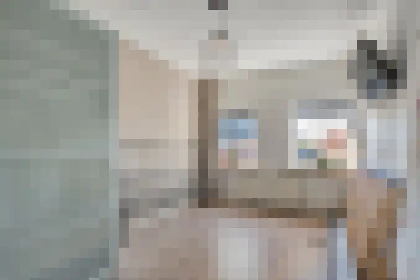 Burgemeester Nijsinghweg 14 Ruinerwold thumbnail 25