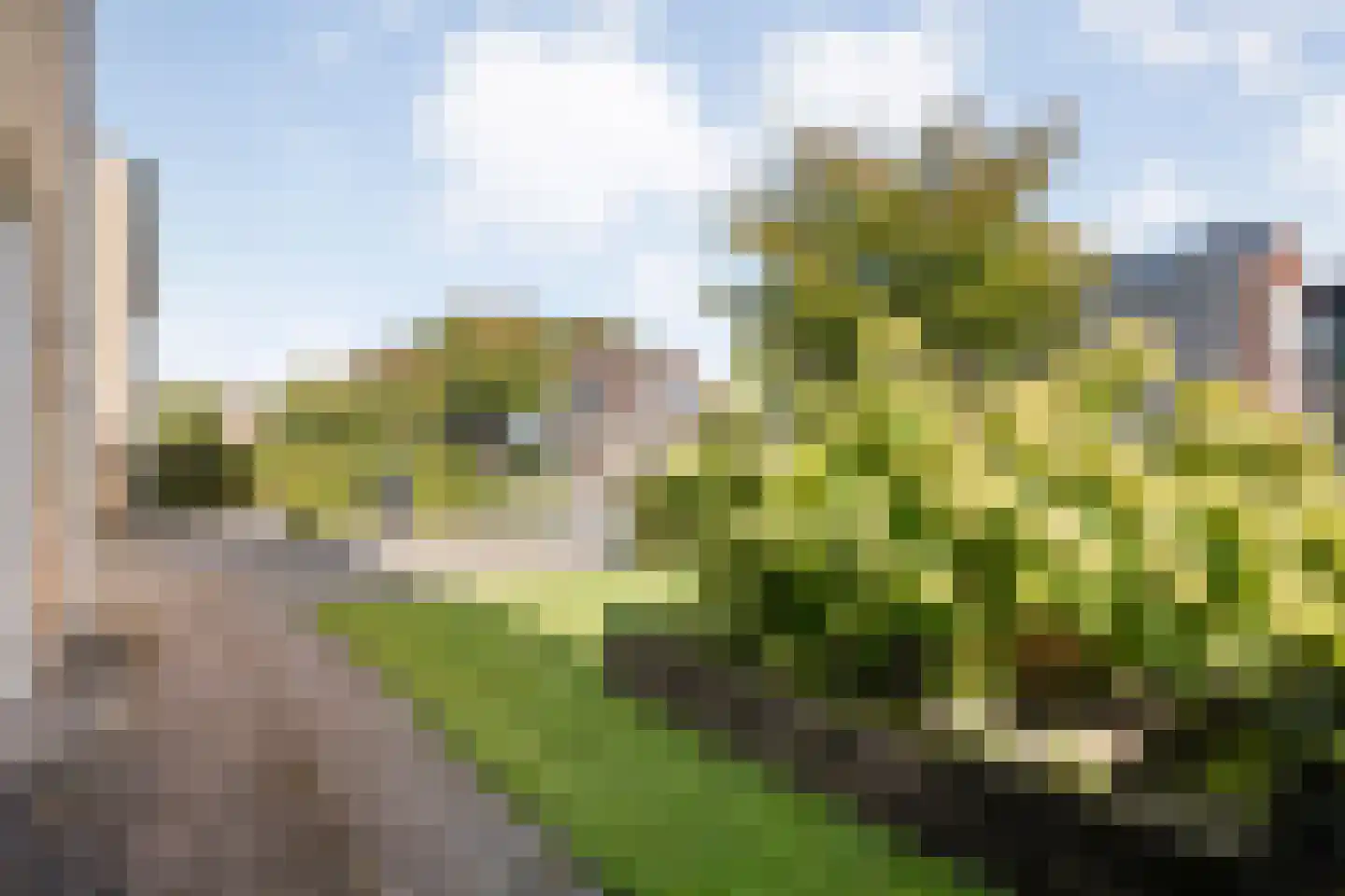 Burgemeester Nijsinghweg 14 Ruinerwold thumbnail 45