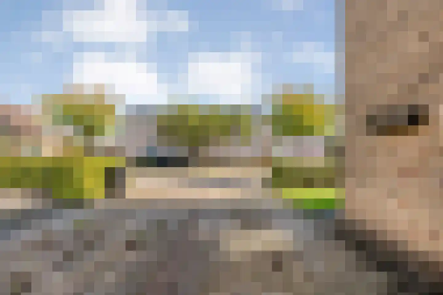 Burgemeester Nijsinghweg 14 Ruinerwold thumbnail 46