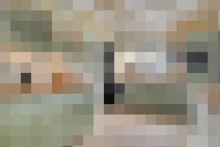 Burgemeester Nijsinghweg 22 Ruinerwold thumbnail 10