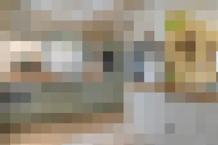 Burgemeester Nijsinghweg 22 Ruinerwold thumbnail 11