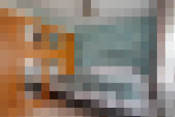 Burgemeester Nijsinghweg 22 Ruinerwold thumbnail 14