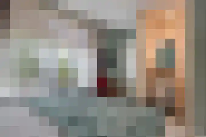 Burgemeester Nijsinghweg 22 Ruinerwold thumbnail 15