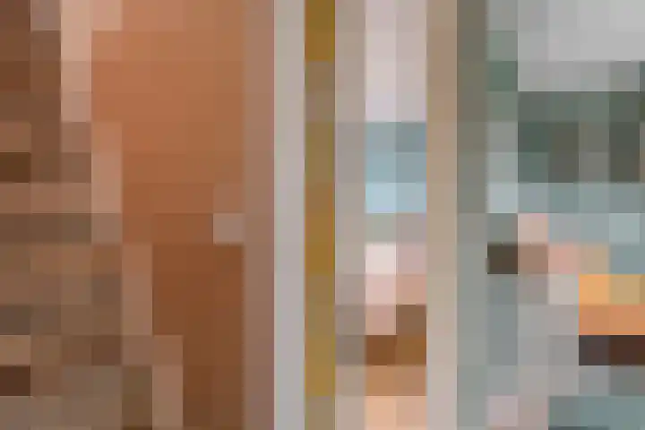 Burgemeester Nijsinghweg 22 Ruinerwold thumbnail 20