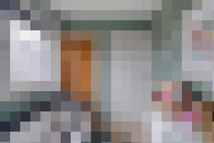 Burgemeester Nijsinghweg 22 Ruinerwold thumbnail 26