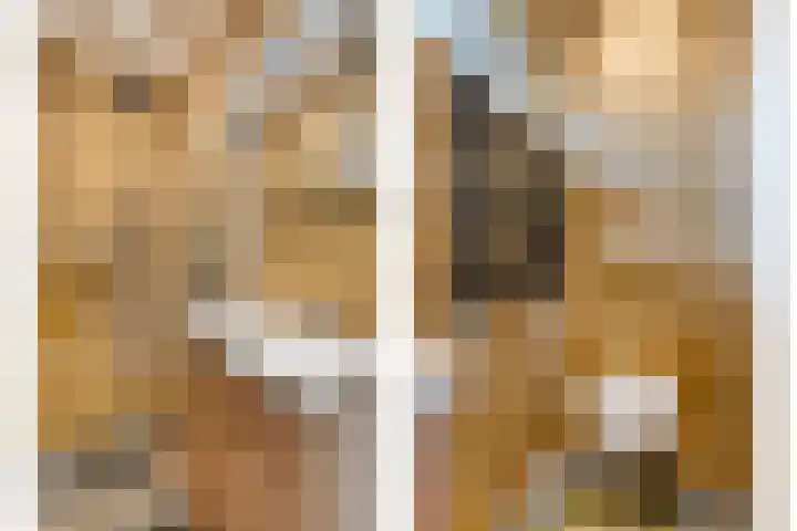 Burgemeester Nijsinghweg 22 Ruinerwold thumbnail 28