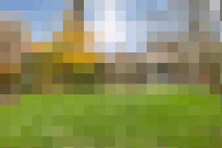 Burgemeester Nijsinghweg 22 Ruinerwold thumbnail 29