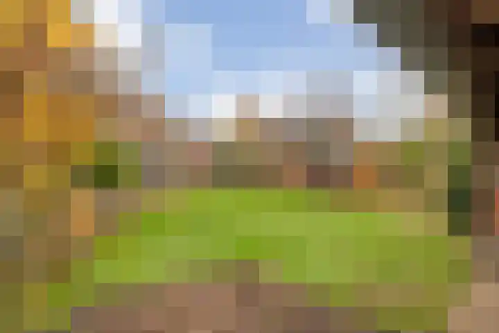 Burgemeester Nijsinghweg 22 Ruinerwold thumbnail 30