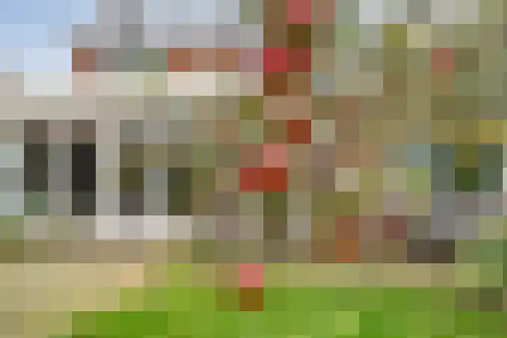 Burgemeester Nijsinghweg 22 Ruinerwold thumbnail 31