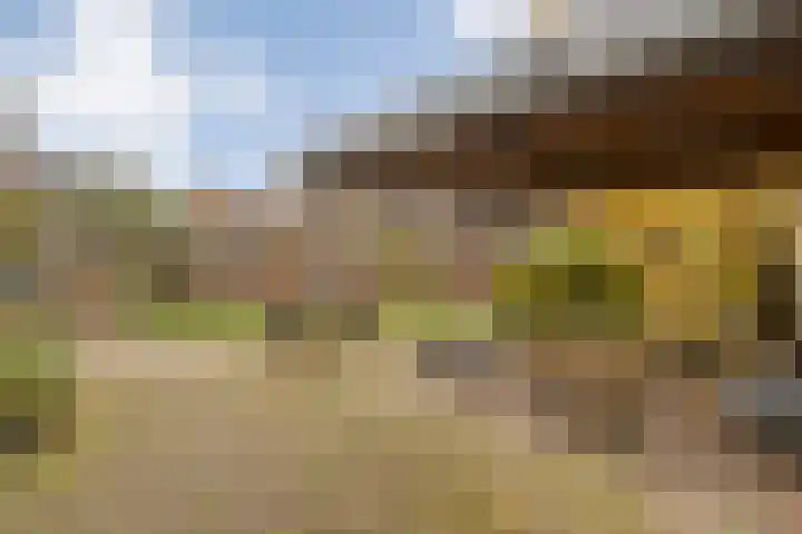 Burgemeester Nijsinghweg 22 Ruinerwold thumbnail 32