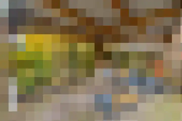 Burgemeester Nijsinghweg 22 Ruinerwold thumbnail 33