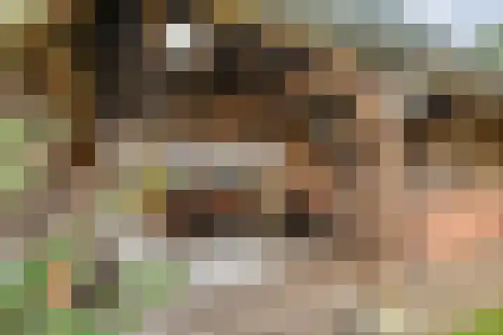 Burgemeester Nijsinghweg 22 Ruinerwold thumbnail 35