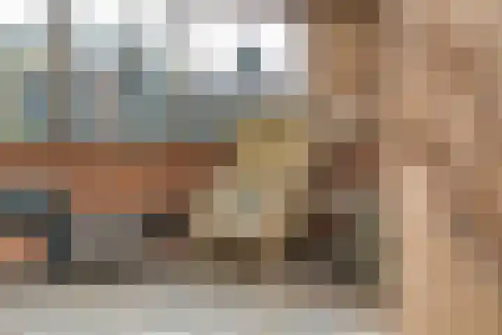 Burgemeester Nijsinghweg 22 Ruinerwold thumbnail 36