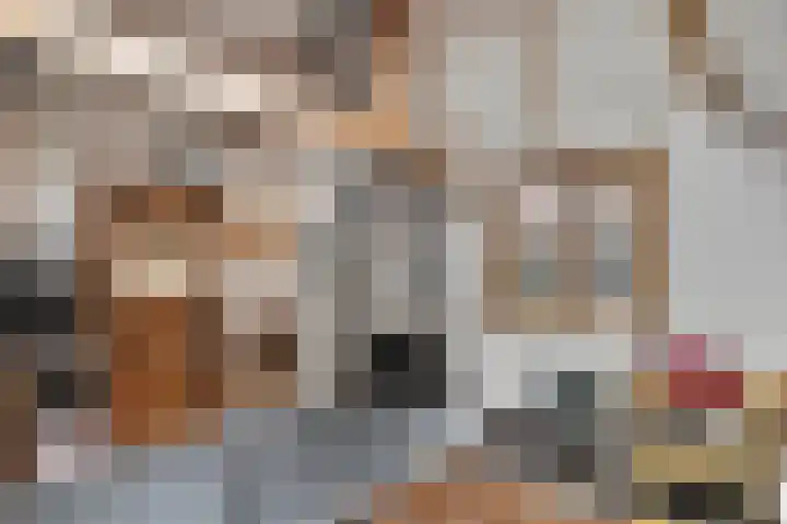 Burgemeester Nijsinghweg 22 Ruinerwold thumbnail 37