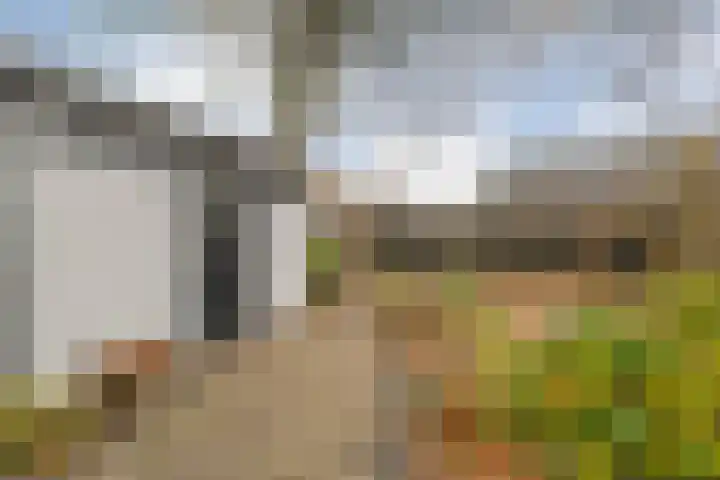 Burgemeester Nijsinghweg 22 Ruinerwold thumbnail 38