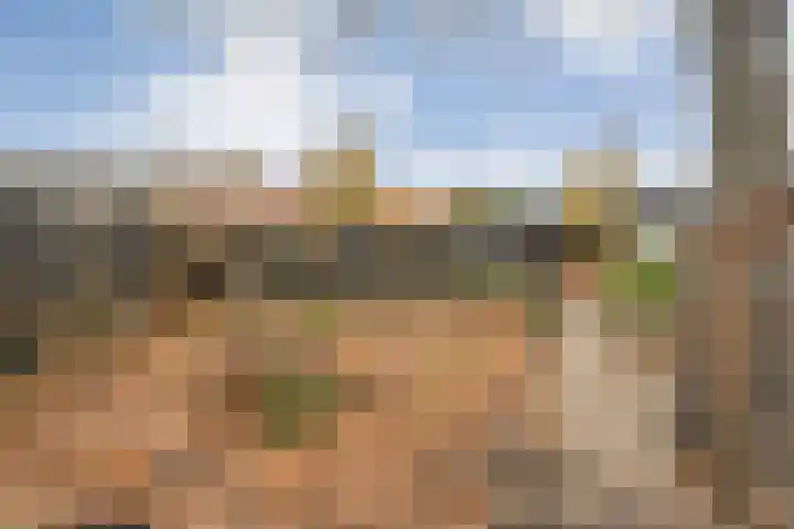 Burgemeester Nijsinghweg 22 Ruinerwold thumbnail 39