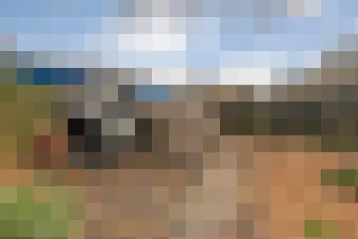 Burgemeester Nijsinghweg 22 Ruinerwold thumbnail 40