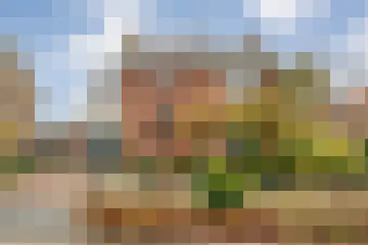 Burgemeester Nijsinghweg 22 Ruinerwold thumbnail 41