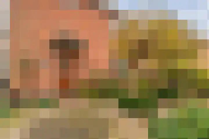 Burgemeester Nijsinghweg 22 Ruinerwold thumbnail 42