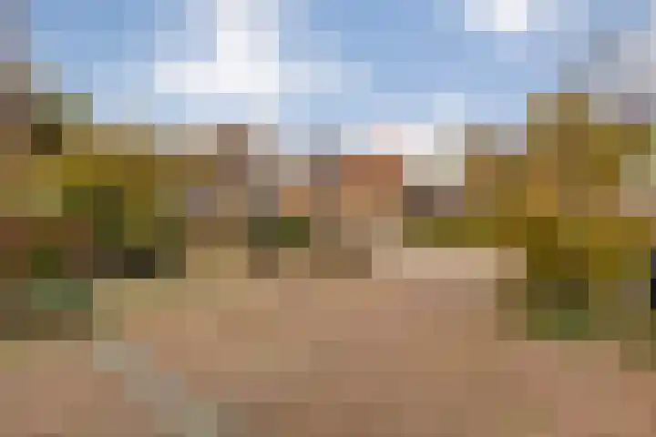 Burgemeester Nijsinghweg 22 Ruinerwold thumbnail 43