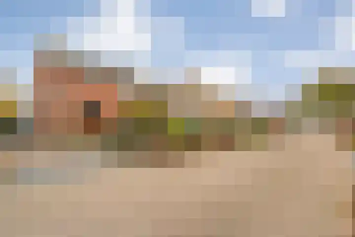 Burgemeester Nijsinghweg 22 Ruinerwold thumbnail 44