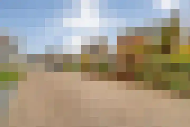Burgemeester Nijsinghweg 22 Ruinerwold thumbnail 45