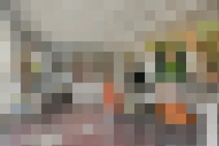 Burgemeester Nijsinghweg 22 Ruinerwold thumbnail 6