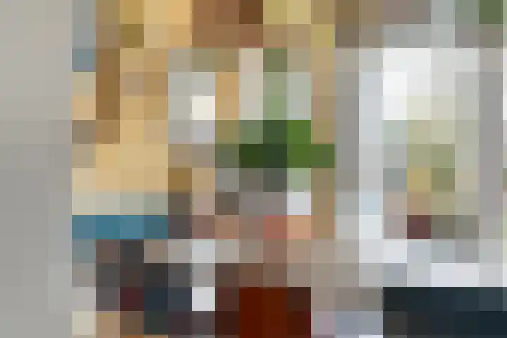 Burgemeester Nijsinghweg 22 Ruinerwold thumbnail 7