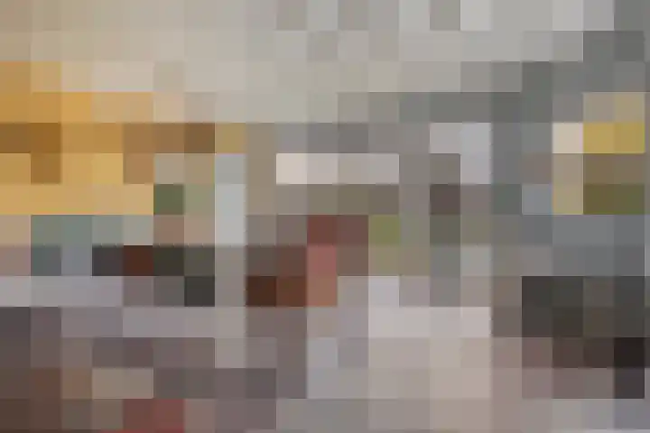 Burgemeester Nijsinghweg 22 Ruinerwold thumbnail 8