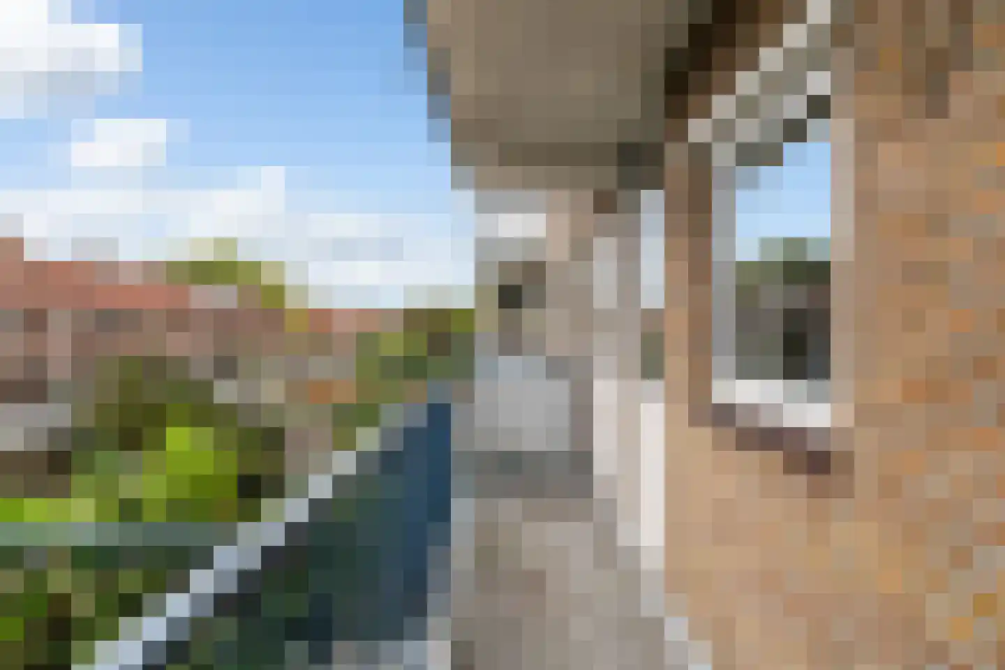 Burgemeester Norbruislaan 264 Utrecht thumbnail 24