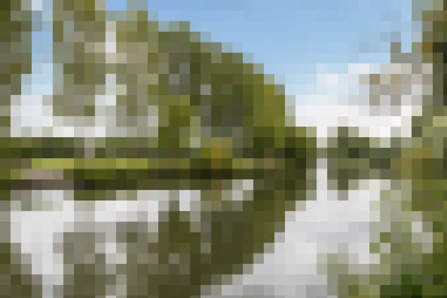 Burgemeester Norbruislaan 264 Utrecht thumbnail 27