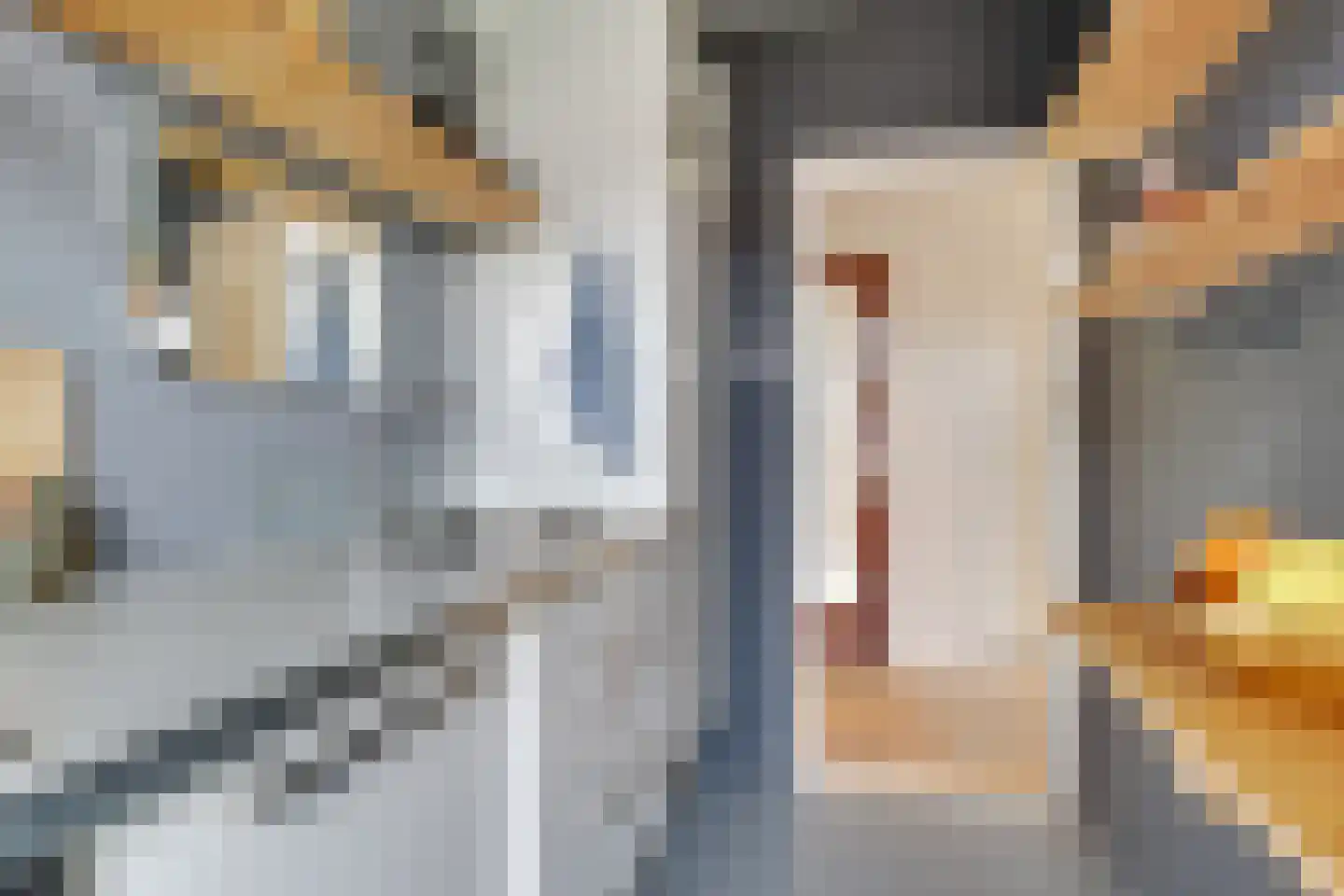 Burgemeester Norbruislaan 272 Utrecht thumbnail 14